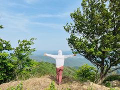 -木兰云雾山