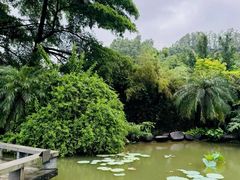 -广州神农草堂中医药博物馆