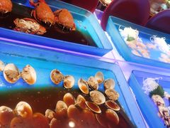 -长沙芙蓉国温德姆至尊豪廷大酒店-自助餐厅