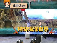 -威海华夏城景区