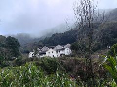 -雁南飞茶田景区