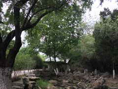-幕燕滨江·长江观音景区