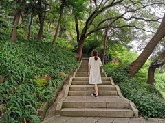 -乌山风景区