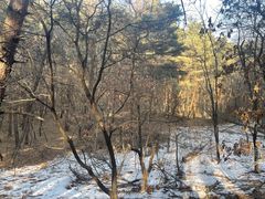 -帽儿山国家森林公园