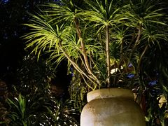 -海口观澜湖火山温泉谷