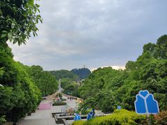 -南山植物园