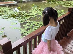 -上海浦东由由信福养老院