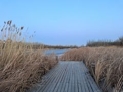-马家湾湿地公园