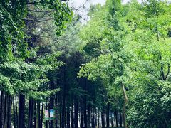 -明珠湖天鹅苑·农家菜馆