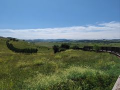 -御道口草原森林风景区