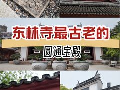 -上海东林寺(金山区)