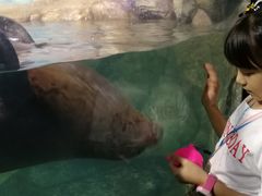 -福州罗源湾海洋世界旅游区