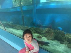 -北国之春国宴(乌兰察布店)