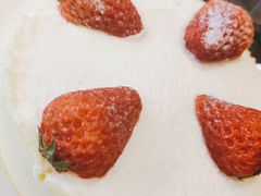 双色芝士蛋糕-皇冠幸福里动物奶油生日蛋糕(万达店)