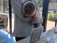 -博特宠物医院24h犬猫全科.骨科·异宠