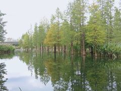 -白鹭湾湿地公园