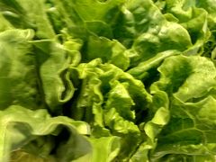 生菜。-古乐牛香·鲜牛肉牛杂火锅(解放东路店)