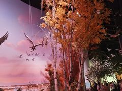 -中国湿地博物馆