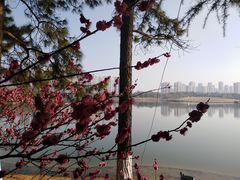 -白塘生态植物园