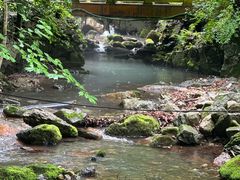 -本溪汤沟绿石谷森林公园