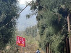 -九峰山