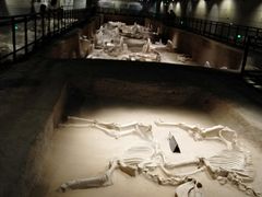 -洛阳周王城天子驾六博物馆