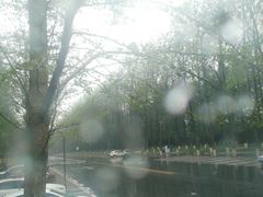 -黄海国家森林公园