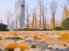 -两江幸福广场