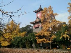 -四川大学(华西校区)