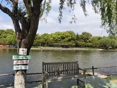 -上海鲜花港