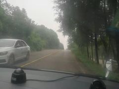 -胜华驾校·小猫学车(银都店)