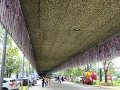 -麻涌飞鸭开心农场