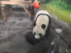 -无锡动物园·太湖欢乐园