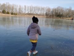 -东郊湿地公园