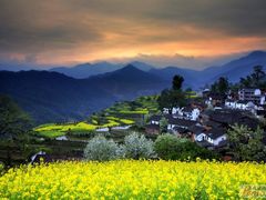 -塔川景区