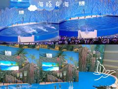 -珠海长隆海洋王国