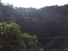 -火炉山森林公园