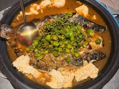 -探鱼·鲜青椒爽麻烤鱼(苏宁广场店)