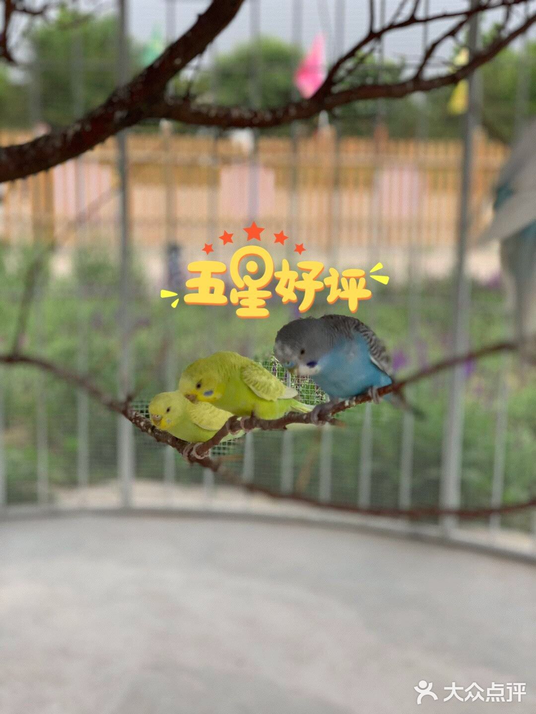 六一给大家推荐[加油]儿童萌宠乐园超可爱