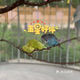 六一给大家推荐[加油]儿童萌宠乐园超可爱