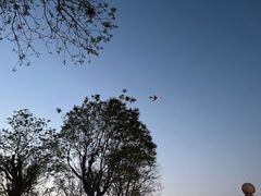 -Supine Bistro溯泮餐厅