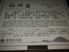 -金鸡山公园