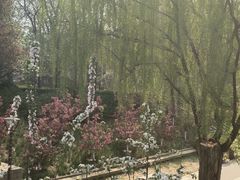 -元大都城垣遗址公园