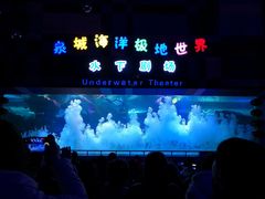 -泉城欧乐堡海洋极地世界