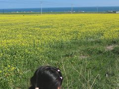 -青海湖二郎剑景区