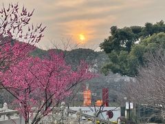 -苏州上方山国家森林公园