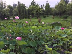 -中家鑫园温泉酒店鑫悦汤泉