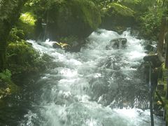 -叠溪松坪沟景区