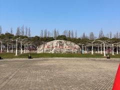 -上海海湾国家森林公园