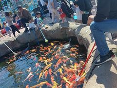 -欢乐水魔方水世界